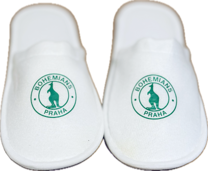 3184_BAC_KORY BI_LE_ BOHEMIANS LOGO